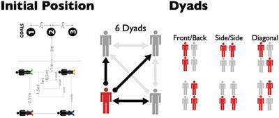 Quantifying and Modeling Coordination and Coherence in Pedestrian Groups